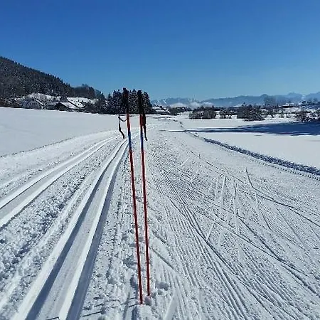 Berge & Seen Апартаменты Hohenpeissenberg